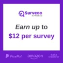 Earn Up to $270 a Month with Surveoo